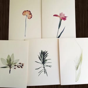 Minimal Nature Note Cards, Assorted Blank Card Set, Small Gift for Friend