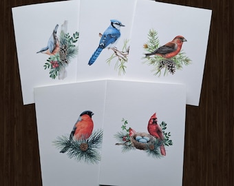 May include: Five white greeting cards featuring watercolor illustrations of various birds. Each card showcases a different bird species, such as a blue jay, cardinal, and bullfinch, perched on branches with pine needles and cones. The artwork has a natural, realistic style.