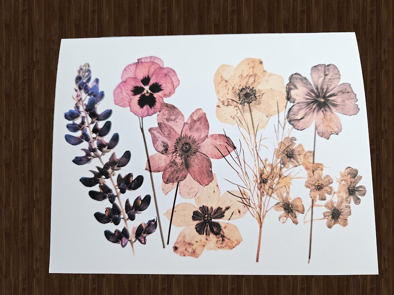 May include: A botanical print featuring a collection of pressed flowers in various stages of preservation. The arrangement includes pink, purple, and beige blooms, with delicate stems and leaves. The flowers are arranged on a white background.
