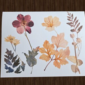 May include: A white sheet of paper featuring pressed flowers and leaves. The arrangement includes a large, dark pink flower, several yellow flowers, and various leaves in shades of orange, brown, and green. The background is a dark wood surface.