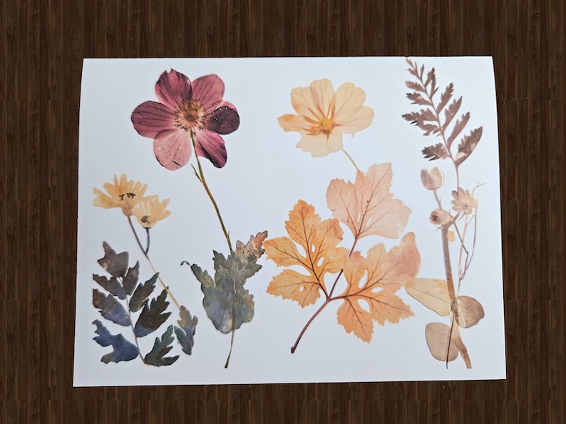 May include: A white sheet of paper featuring pressed flowers and leaves. The arrangement includes a large, dark pink flower, several yellow flowers, and various leaves in shades of orange, brown, and green. The background is a dark wood surface.