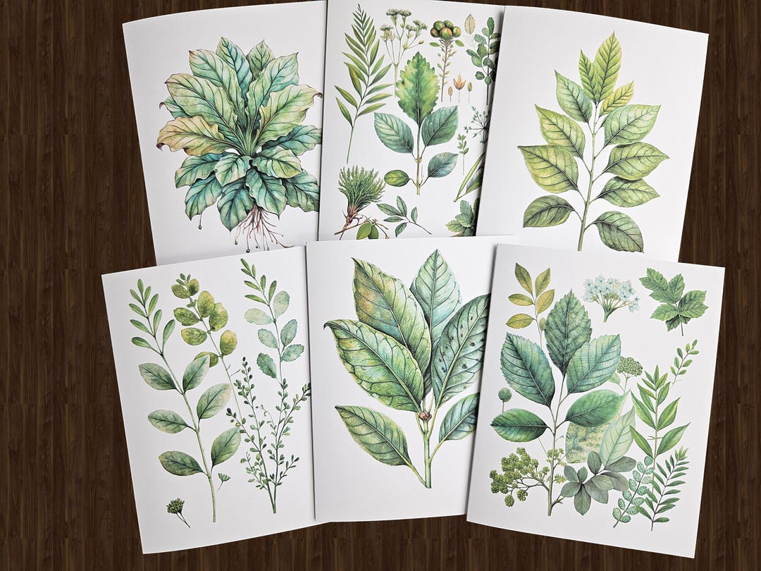 Botanical Plant Note Cards: Watercolor Illustration, Blank Inside - Etsy