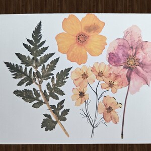 May include: A collection of pressed flowers and foliage on a white background. The arrangement includes a fern, several orange and pink flowers, and smaller yellow blooms. The image is set against a dark wood grain.