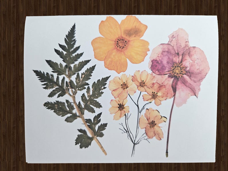May include: A collection of pressed flowers and foliage on a white background. The arrangement includes a fern, several orange and pink flowers, and smaller yellow blooms. The image is set against a dark wood grain.