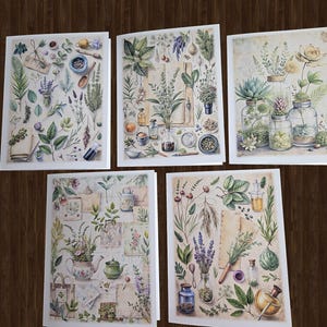 May include: Five botanical art prints featuring watercolor illustrations of herbs, flowers, and apothecary items. The prints showcase various plants, jars, bottles, and tools, with a vintage aesthetic. The color palette includes greens, purples, and creams.