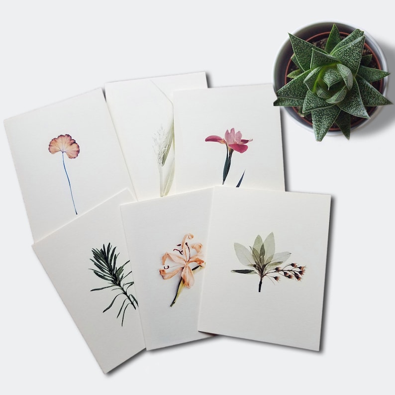 10 Botanical Note Cards: Minimalist Plant Card Set, Assorted Blank ...