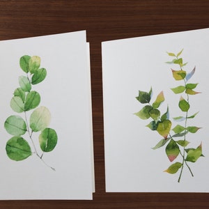 Assorted Botanical Note Cards, Watercolor Cards, Blank Cards, Small Gift for Friend image 4