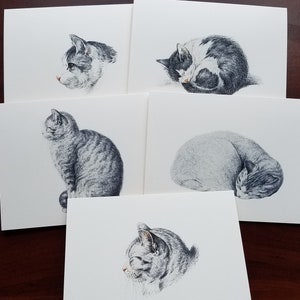 Cat Note Cards, Blank Cards, Birthday Gift for Daughter