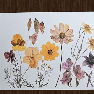 May include: A white card featuring an arrangement of dried flowers in shades of yellow, orange, and purple. The flowers include cosmos, pansies, and other wildflowers, creating a natural and delicate aesthetic.