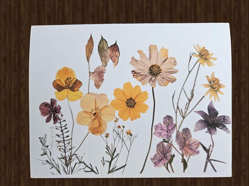 May include: A white card featuring an arrangement of dried flowers in shades of yellow, orange, and purple. The flowers include cosmos, pansies, and other wildflowers, creating a natural and delicate aesthetic.