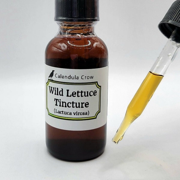 Wild Lettuce Tincture, Lactuca Virosa Tincture, Herbal Extract, 1 oz Dropper Bottle