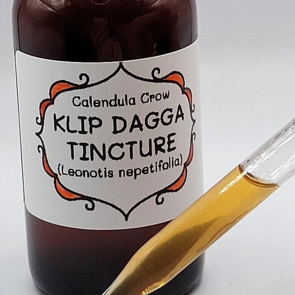 KLIP DAGGA TINCTURE | Leonotis nepetifolia Extract | Lions Ear | 1 oz