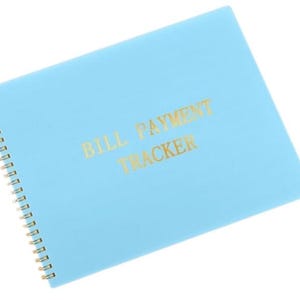 100 Envelope Challenge Kit ( 3x5 Box,100 Envelopes, Laminated Tracker ...