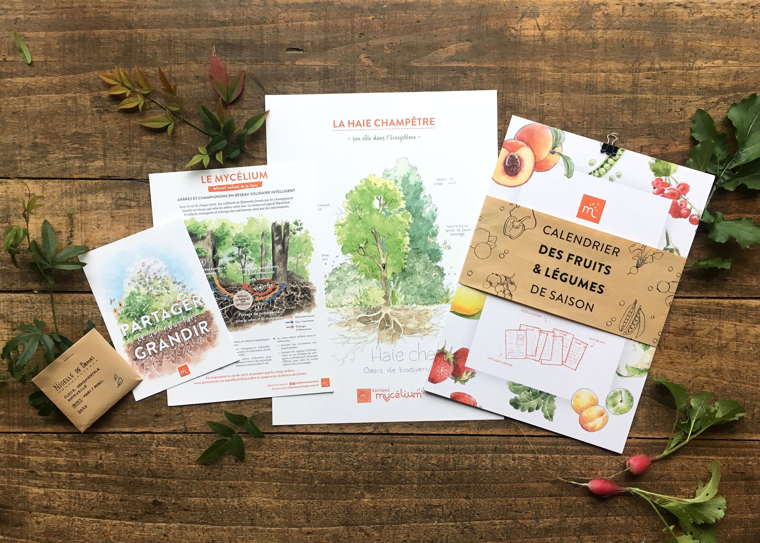 Biodiversité Ensemble Illustré Complet