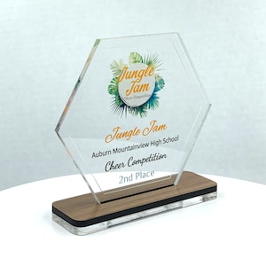 Trofeo esagonale in acrilico con base in legno / Premio scientifico / Premio STEM / Regalo tecnologico - Acrilico con stampe a colori - Personalizzazione gratuita