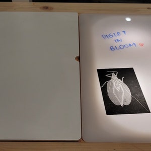Op de afbeelding: Een lichttafel met twee rechthoekige panelen. Het rechterpaneel is verlicht en toont drie zwarte rechthoekige kaarten met witte insectillustraties en de blauwe handgeschreven tekst "PIGLET IN BLOOM" met een klein rood hartje.