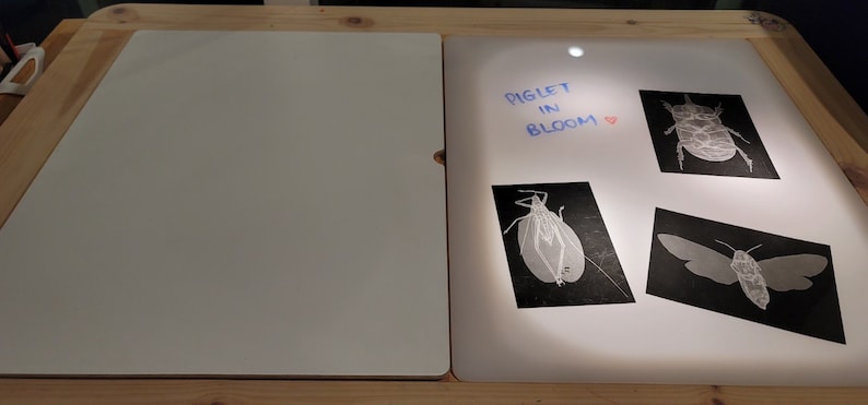 Op de afbeelding: Een lichttafel met twee rechthoekige panelen. Het rechterpaneel is verlicht en toont drie zwarte rechthoekige kaarten met witte insectillustraties en de blauwe handgeschreven tekst "PIGLET IN BLOOM" met een klein rood hartje.
