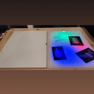 Op de afbeelding: Een rechthoekige lichttafel met een houten frame, voorzien van een effen wit paneel aan de linkerkant en een verlicht paneel aan de rechterkant. Het oplichtende oppervlak toont drie zwarte kaarten met insectillustraties en de tekst PIGS IN BLOOM.