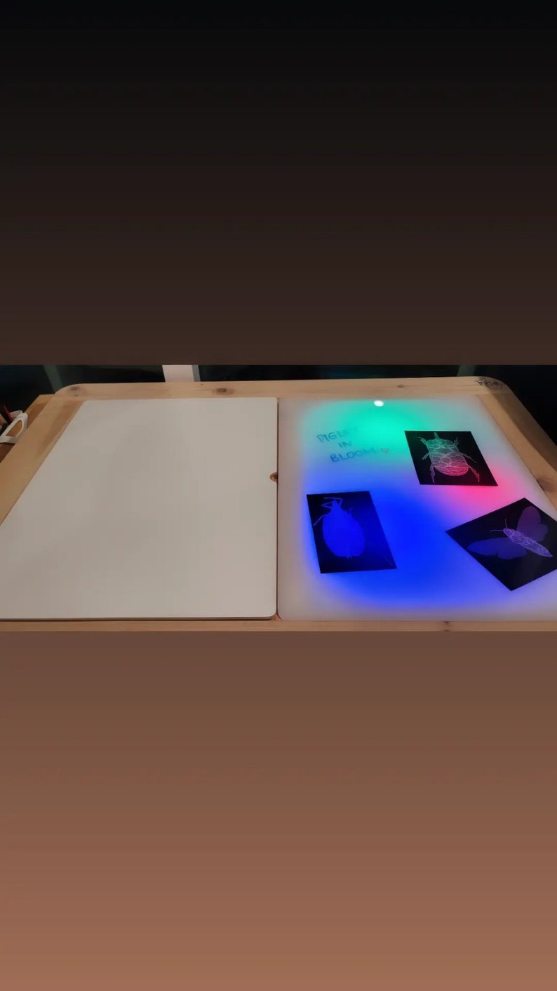 Op de afbeelding: Een rechthoekige lichttafel met een houten frame, voorzien van een effen wit paneel aan de linkerkant en een verlicht paneel aan de rechterkant. Het oplichtende oppervlak toont drie zwarte kaarten met insectillustraties en de tekst PIGS IN BLOOM.