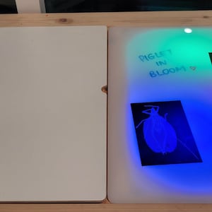 Op de afbeelding: Een rechthoekige lichttafel met een wit oppervlak aan de linkerkant en een verlicht paneel aan de rechterkant. De rechterkant gloeit met blauw, groen en rood licht en toont drie zwarte kaarten met insectillustraties en de tekst PIGLET IN BLOOM.