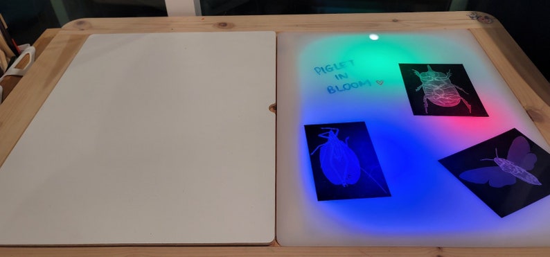 Op de afbeelding: Een rechthoekige lichttafel met een wit oppervlak aan de linkerkant en een verlicht paneel aan de rechterkant. De rechterkant gloeit met blauw, groen en rood licht en toont drie zwarte kaarten met insectillustraties en de tekst PIGLET IN BLOOM.