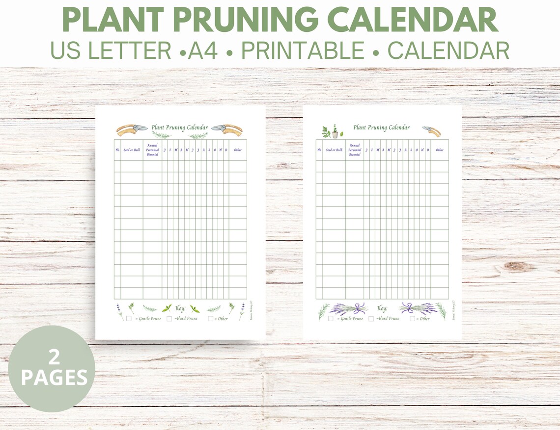 Plant Pruning Calendar Printable, Blank Digital Download. Minimalist Gardener. - Etsy