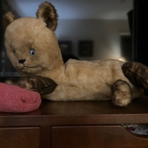 Alpha Farnell Bear - Etsy