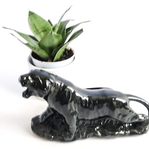 Puede incluir: Macetero de cerámica negro con forma de pantera, con una planta suculenta verde en una maceta blanca.