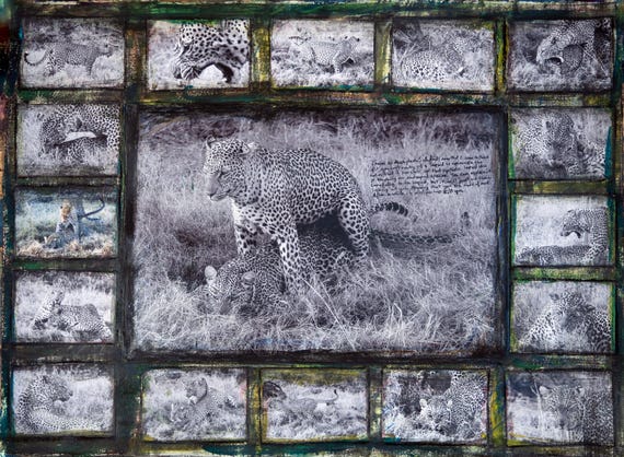 Synthetic Leopard Skin Is Becoming an Endangered Species – Limited Edition Artwork  | Contemporary Wildlife Art | Mixed Media Collage