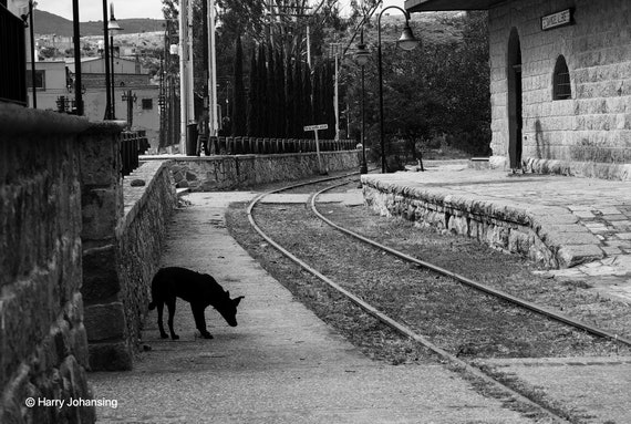 Limited Edition - “A Friend Waiting for Neal Cassady” - 2020