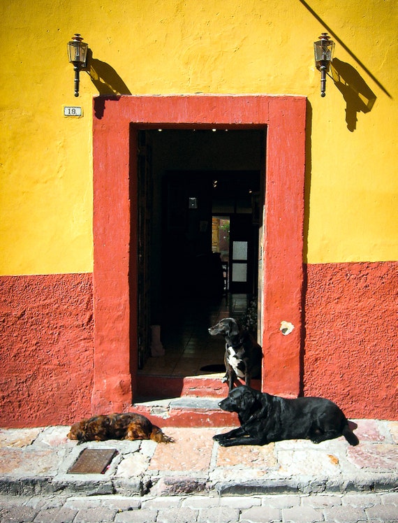 Tres Amigos, Three Friends, San Miguel de Allende, Fine Art Photography,  Fine Wall Art