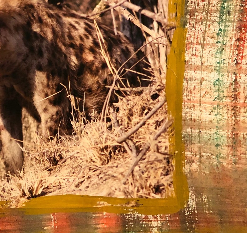 Impisi Zulu Name Hyena South Africa 2019 - Etsy