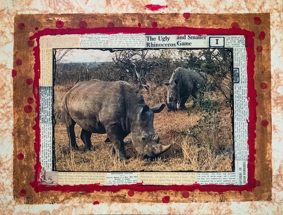 Rhinos are just fat unicorns - Limited Edition - Rhino’s South Africa  - Contemporary Art - Fine Artworks, Fine Art Photography