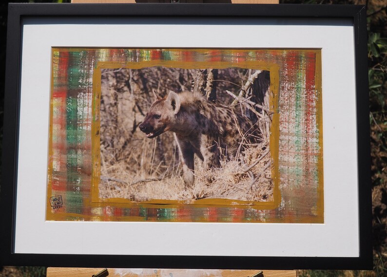 Impisi Zulu Name Hyena South Africa 2019 - Etsy