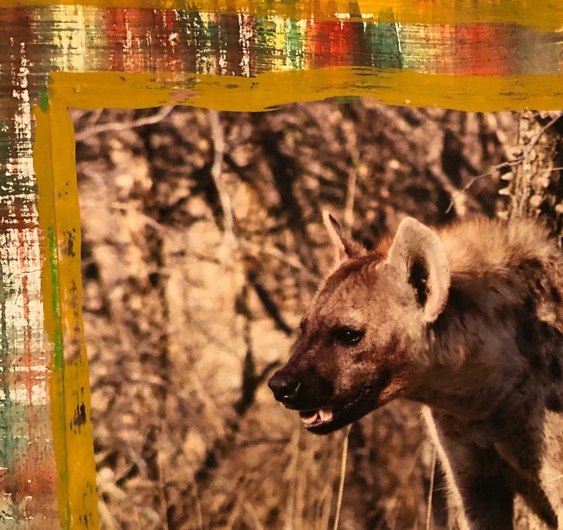 Impisi Zulu Name Hyena South Africa 2019 - Etsy