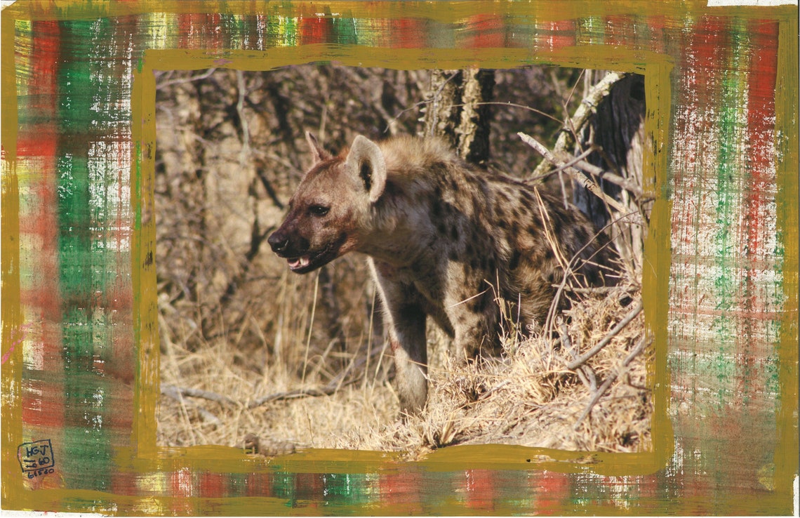 Impisi Zulu Name Hyena South Africa 2019 - Etsy