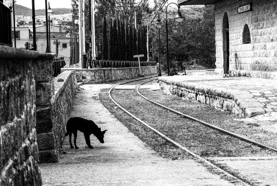 Limited Edition - “A Friend Waiting for Neal Cassady” - 2020