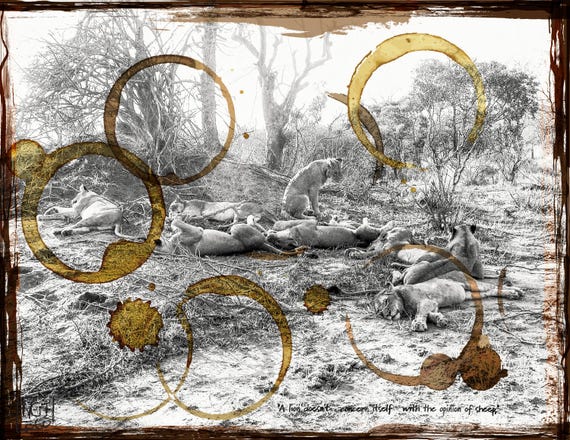 A lion Doesn’t concern itself with the opinion of sheep, Fine Art Photograph, Home Decor, Contemporary Art - Fine Hand Made Artworks