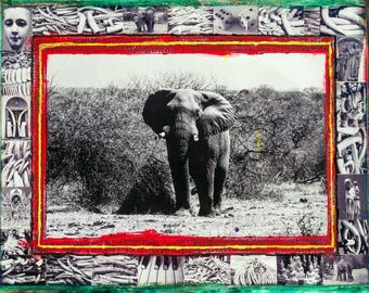 Antique Books Longing for Darkness, Peter Beard, Isak Dinesen
