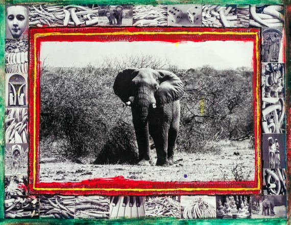 The Weight of White – Limited Edition Elephant Artwork on Banana Paper | Wildlife Conservation Art | Ethical Home Decor