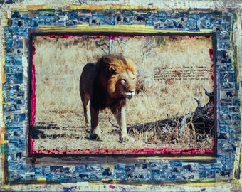 Foolish Jackals Limited Edition - Lion South Africa  - Contemporary Art - Fine Artworks, Fine Art Photography