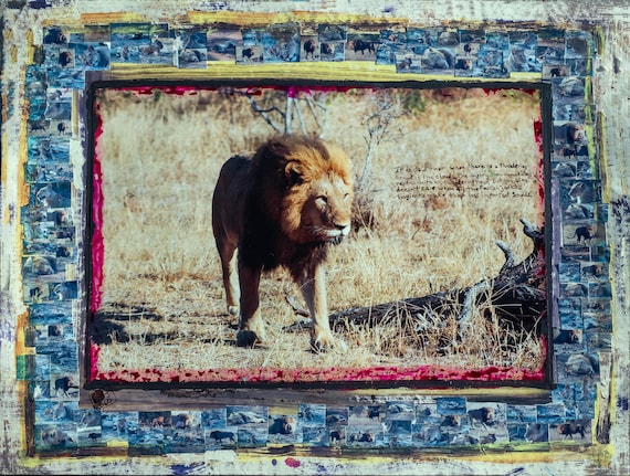 Foolish Jackals – Limited Edition Lion Artwork on Coffee Paper | African Wildlife Fine Art | Contemporary Mixed-Media Photography
