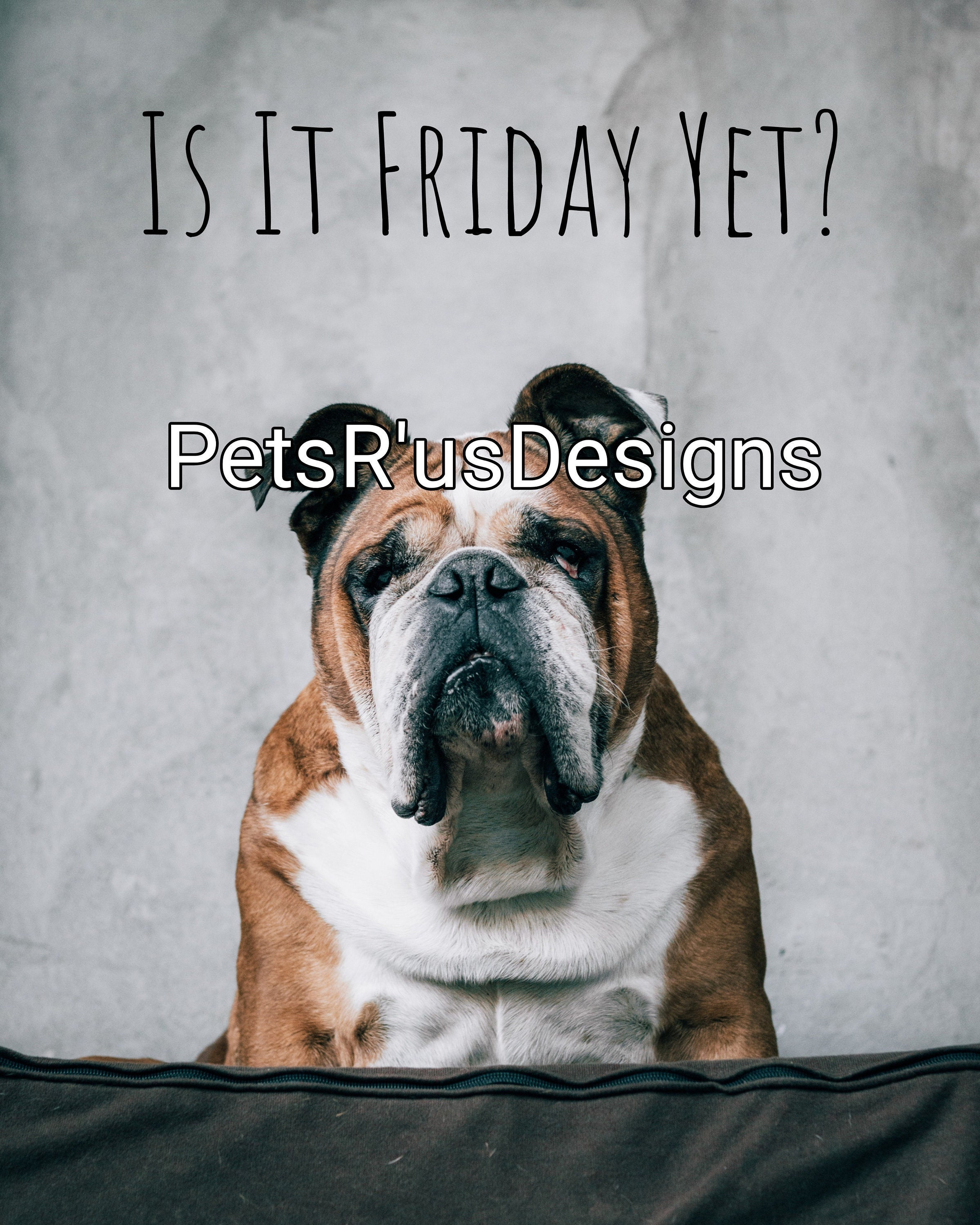 Is It Friday Yet Quote// Cute & Funny Dog Quotes// Digital - Etsy Is It Friday Yet Quote// Cute & Funny Dog Quotes// Digital - Etsy