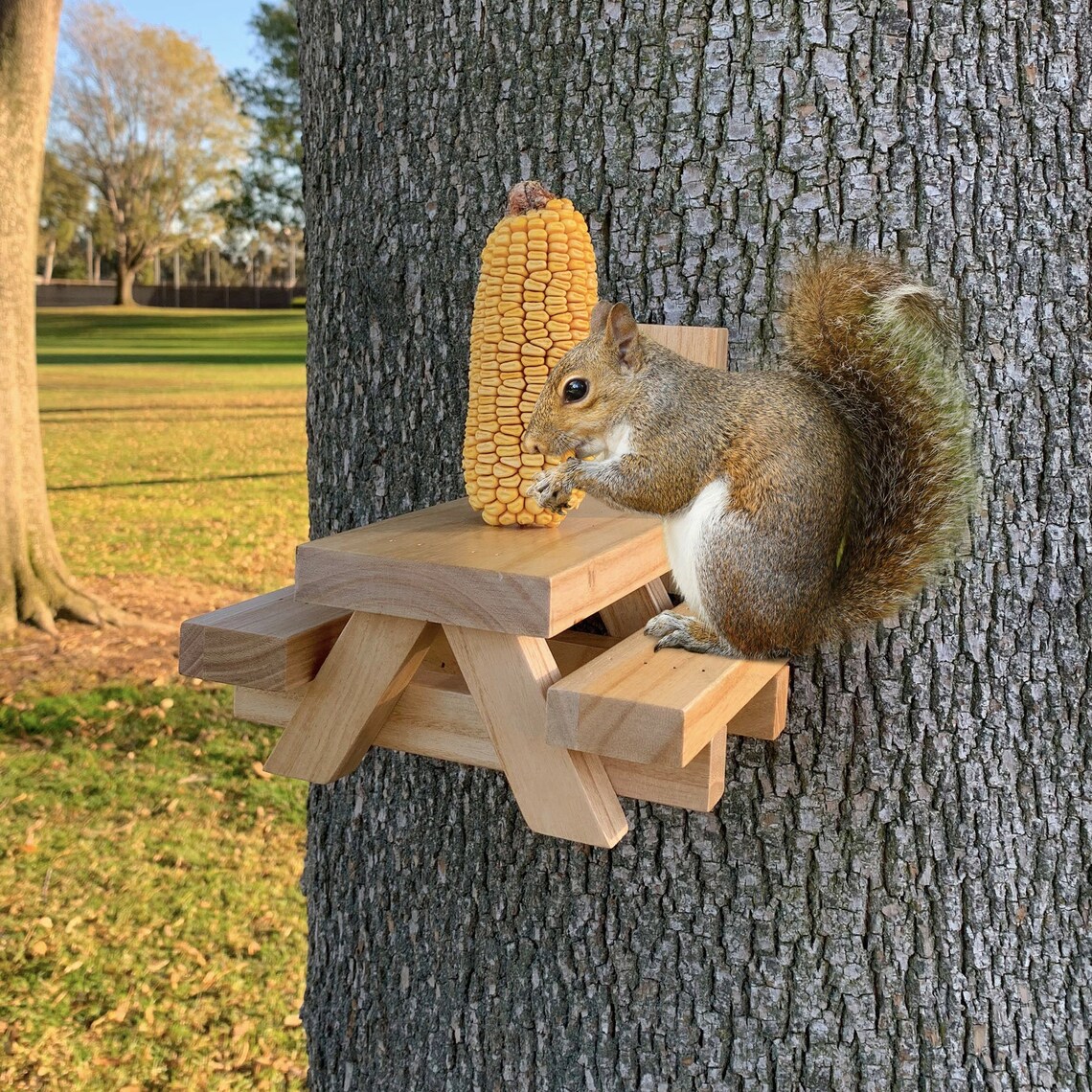Squirrel Feeder Picnic Table with Corn Cob Holder Large Etsy