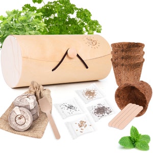 Herb Garden Starter Kit-Includes Premium Herb Seeds: Basil Cilantro Parsley Mint. Grow Your Own Lovely Kitchen Garden Perfect Gardening Gift