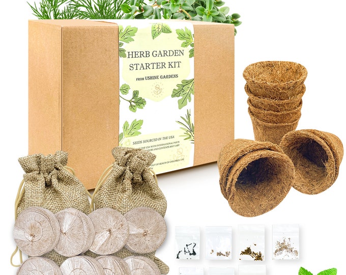 Pick 7 Herb Garden - Window Seed Starter Kit -Cedar Wood Indoor Outdoor Planter Box Pot for Kitchen Windowsill Patio - Customized