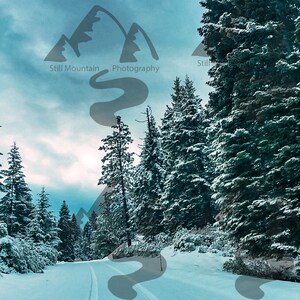 Winter Road | Snowy Forest | Snow Trees | Snowy Road | Winter Photography | Snowy Landscape | Landscape Decor | Wall Art | Digital Download