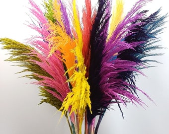 Natürliche bunte große Pampas, 40 "Zoll (100 cm) 12 Stiele, Wohnkultur, Hochzeitsdeko, Regenbogen Pampas, Geschenk für sie, große Pampas