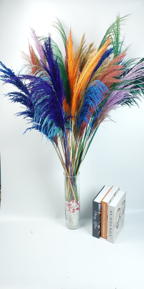 Natural Colorful Tall Pampas, 40 Inch 100 Cm 12 Stems, Home Decor, Wedding  Decor, Rainbow Pampas, Gift for Her, Tall Pampas -  Israel