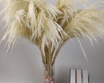 Natural White Pampas, Tall Pampas, 40" inch (100 cm) 12 Stems, Home Decor, Wedding Decor, Gift For Her, Boho Decor pompas